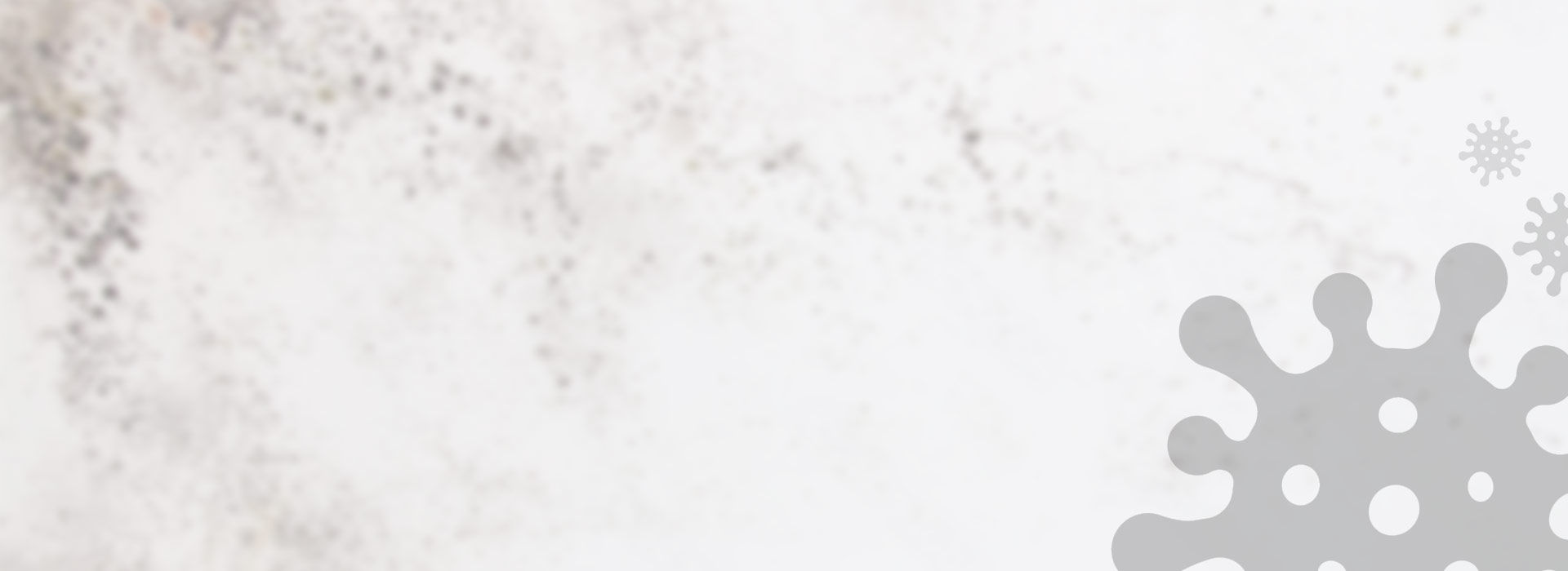 Georgia Mold Mutts, LLC White background with light gray abstract virus shapes in the lower right and upper right corners, subtle gray speckles on the left side, and design elements inspired by mold detection.