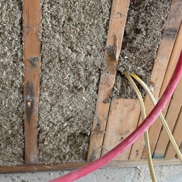 mold-found_0000_IMG_9870 Georgia Mold Mutts, LLC Exposed wall cavity with cellulose insulation, wooden studs, yellow electrical wires, red conduit, and suitable access points for Mold Detection