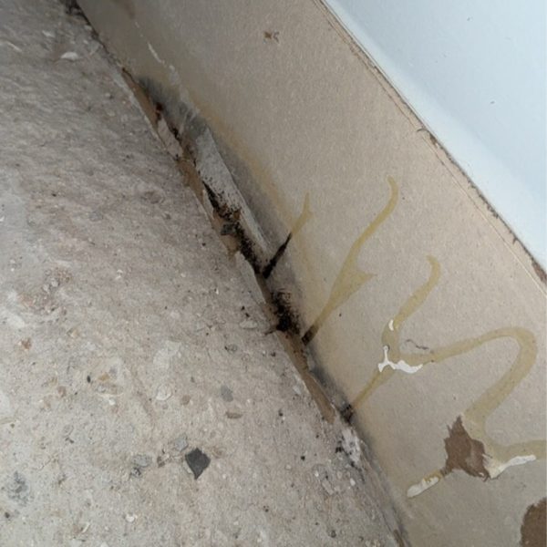 mold-found_0002_IMG_9708 Georgia Mold Mutts, LLC Close up of a damaged wall and floor showing black mold growth, yellowish water stains, and clear signs in need of Mold Detection