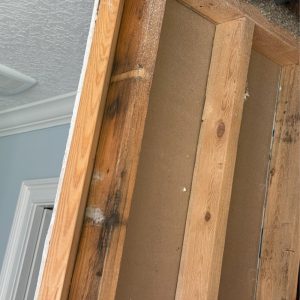 mold-found_0006_IMG_4707 Georgia Mold Mutts, LLC A close-up view of an exposed wall with wooden framing, insulation, and drywall next to a textured ceiling and molding highlights areas where Mold Detection may be necessary.