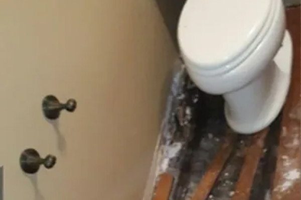 mold-found-2 Georgia Mold Mutts, LLC A toilet is installed at an angle in a bathroom, with exposed flooring and damaged wood visible around the base